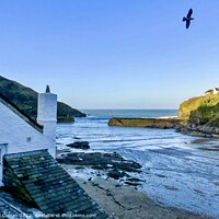 Buy canvas prints of Golden Hour in Port Isaac by Beryl Curran