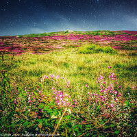 Buy canvas prints of Enchanting Night Sky over Wild Flowers by Beryl Curran