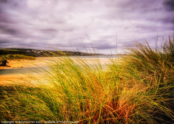 Golden Dunes at Hayle Beach Picture Board by Beryl Curran