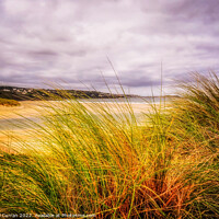 Buy canvas prints of Golden Dunes at Hayle Beach by Beryl Curran