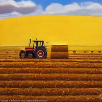 Buy canvas prints of Bountiful Harvest by Beryl Curran