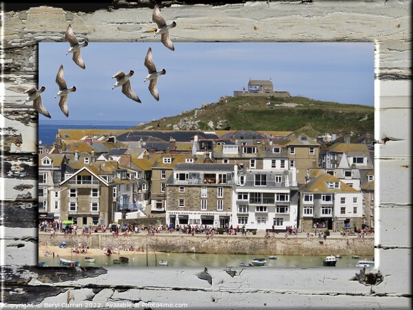 Seagulls View of St Ives Picture Board by Beryl Curran