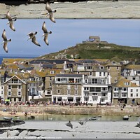 Buy canvas prints of Seagulls View of St Ives by Beryl Curran