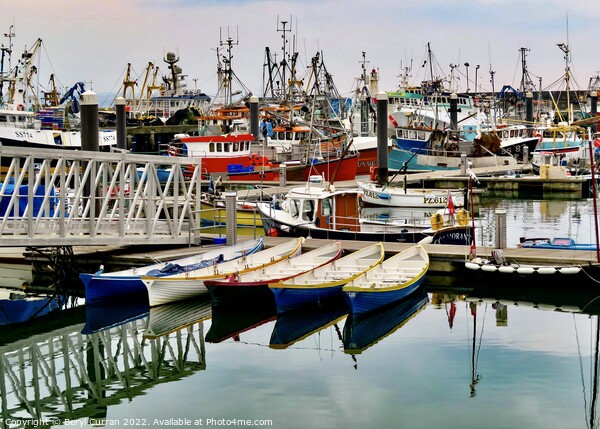 Fishing Trawlers Newlyn Harbour  Picture Board by Beryl Curran