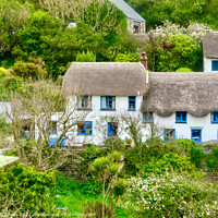 Buy canvas prints of Blue Framed Thatched Cottages in Cadgwith Cove by Beryl Curran