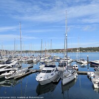 Buy canvas prints of Serene Haven in Falmouth by Beryl Curran