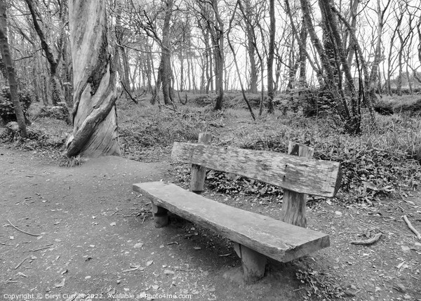 Serenity in Tehidy Woods Picture Board by Beryl Curran