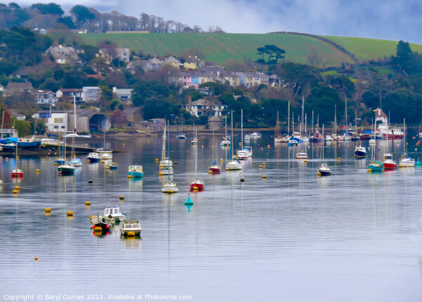 Serenity on Penryn River Picture Board by Beryl Curran