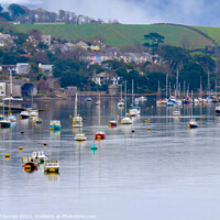 Buy canvas prints of Serenity on Penryn River by Beryl Curran