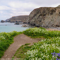 Buy canvas prints of Trevaunance Cove St Agnes Cornwall by Beryl Curran