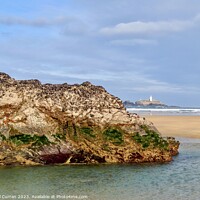 Buy canvas prints of Marvel at Godrevy Lighthouse on Gwithian Beach by Beryl Curran