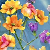 Buy canvas prints of Springtime Perfection  by Beryl Curran
