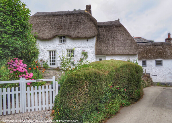 Cornish Thatched Cottages  Picture Board by Beryl Curran
