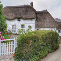 Buy canvas prints of Cornish Thatched Cottages  by Beryl Curran