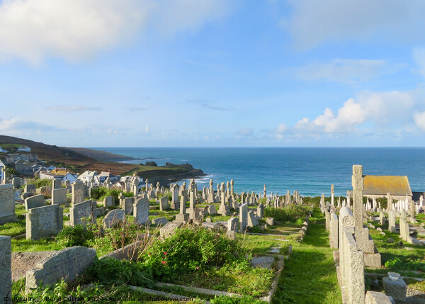 Barnoon Cemetery St Ives Cornwall  Picture Board by Beryl Curran