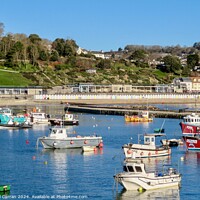 Buy canvas prints of Lyme Regis harbour by Beryl Curran