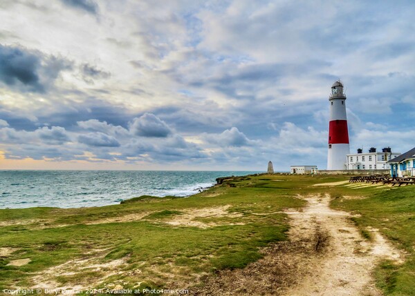Portland Bill Lighthouse  Picture Board by Beryl Curran