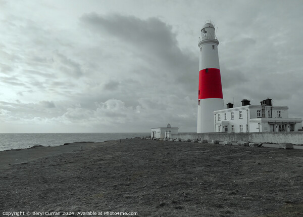 Portland Bill Lighthouse  Picture Board by Beryl Curran