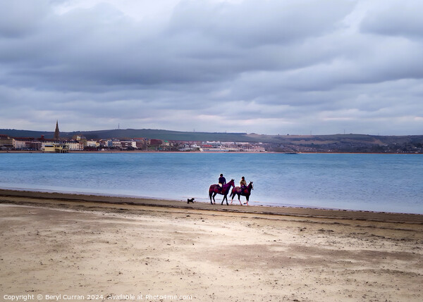 Horses on Weymouth Beach Picture Board by Beryl Curran