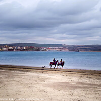 Buy canvas prints of Horses on Weymouth Beach by Beryl Curran