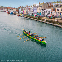 Buy canvas prints of Gig practice in  Weymouth Harbour  by Beryl Curran
