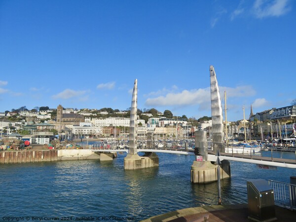 Torquay harbour Picture Board by Beryl Curran