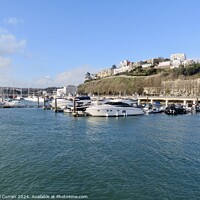 Buy canvas prints of Torquay Harbour  by Beryl Curran