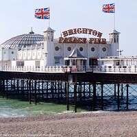 Buy canvas prints of Brighton Palace Pier by Beryl Curran