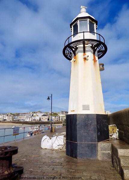 Smeaton’s Pier Lighthouse St Ives Picture Board by Beryl Curran