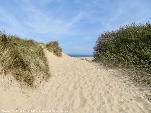 Hayle Sand Dunes  Picture Board by Beryl Curran