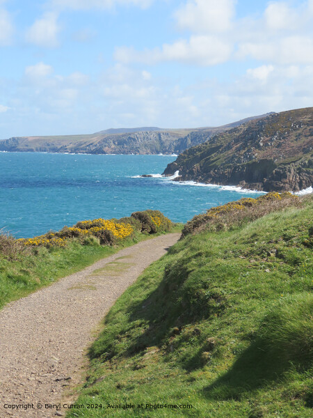 Pendeen Lighthouse Coastal Path to portheras Cove Picture Board by Beryl Curran