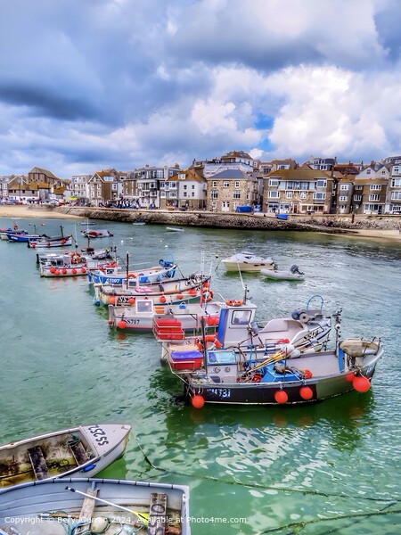 St Ives Harbour  Picture Board by Beryl Curran