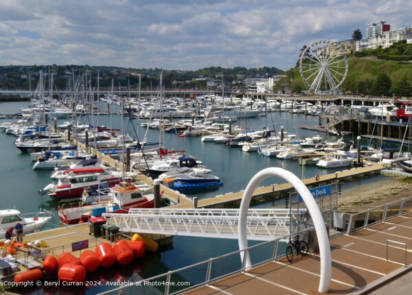 Torquay Harbour  Picture Board by Beryl Curran