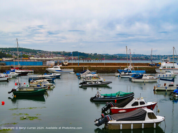 Paignton Harbour  Picture Board by Beryl Curran