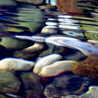 Buy canvas prints of Colourful Pebbles Dance in Flowing Stream by Beryl Curran