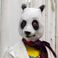 Buy canvas prints of Groovy Panda Shops in Truro by Beryl Curran