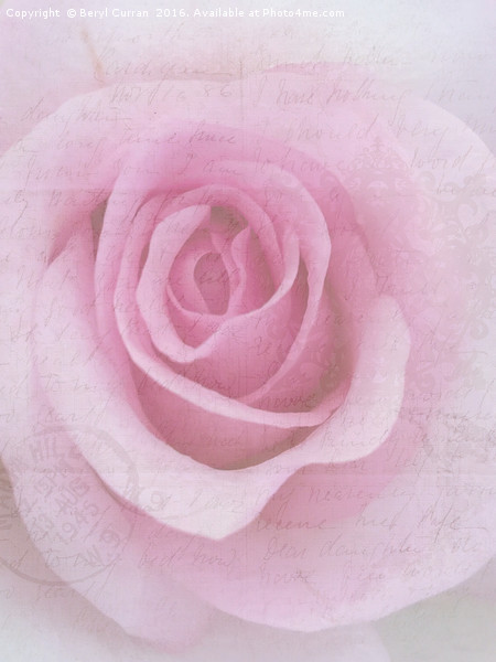 Sweethearts Rose Love Letter Picture Board by Beryl Curran