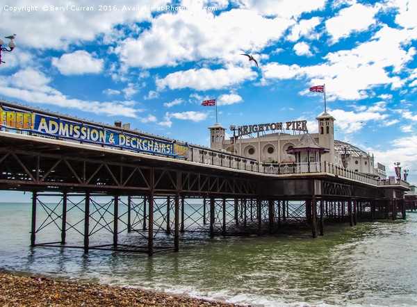 A Seaside Wonderland Brighton. Picture Board by Beryl Curran
