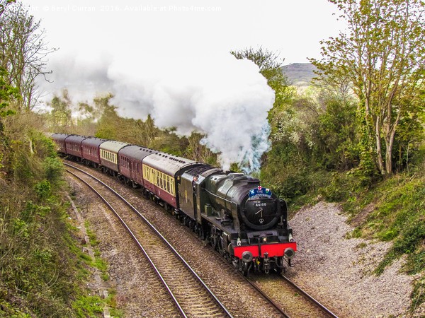 Majestic Steam Train through Cornish Countryside Picture Board by Beryl Curran