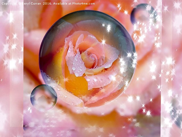 Enchanted Rose Bubble Picture Board by Beryl Curran