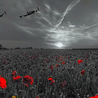 Buy canvas prints of Lest We Forget by Beryl Curran