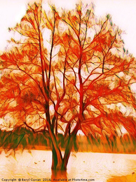 Majestic Autumn Tree Picture Board by Beryl Curran
