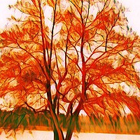 Buy canvas prints of Majestic Autumn Tree by Beryl Curran