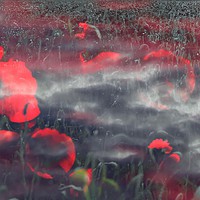 Buy canvas prints of Eternal Spirits of Remembrance by Beryl Curran