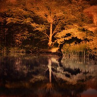 Buy canvas prints of Serene Reflection by Beryl Curran