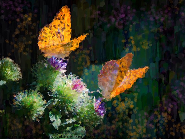 Orange Butterflies on Purple Thistles Picture Board by Beryl Curran