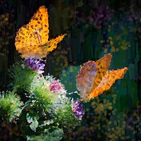 Buy canvas prints of Orange Butterflies on Purple Thistles by Beryl Curran