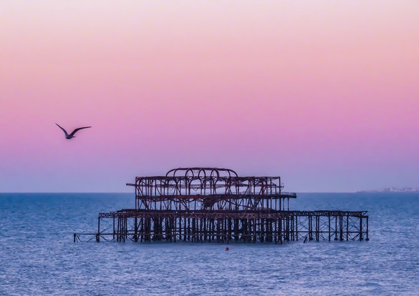 Sunset Beauty at West Pier Picture Board by Beryl Curran