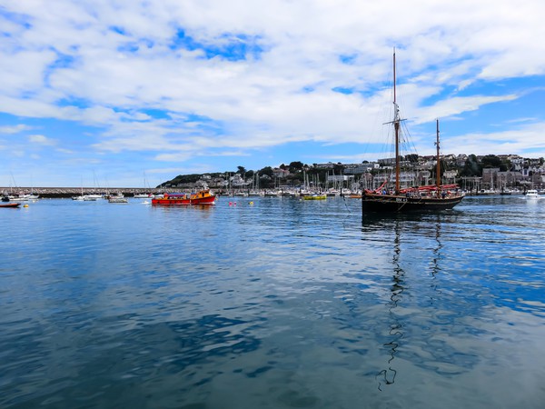 Majestic Sailing towards Brixham Picture Board by Beryl Curran
