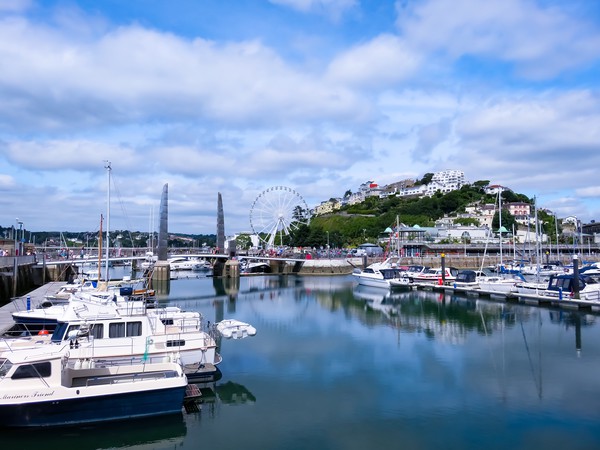 Magnificent Torquay Harbour Picture Board by Beryl Curran